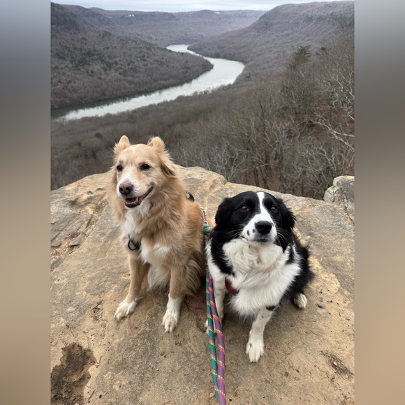 Meet your Posher, River! - Picture 5 of 16